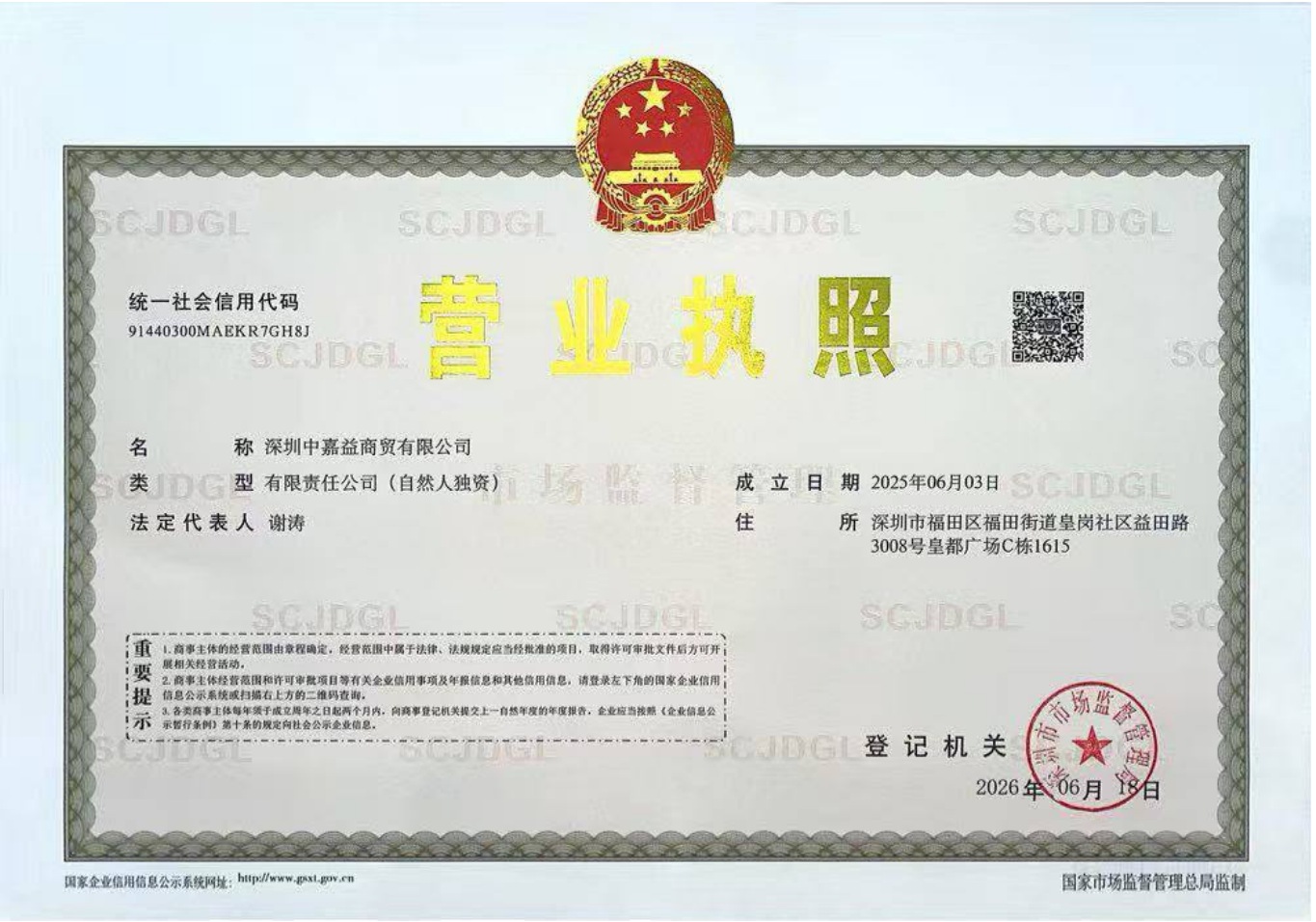 深圳中嘉益商贸有限公司营业执照预览